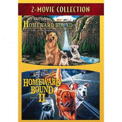 Homeward Bound: The Incredible Journey / Homeward Bound Ii: Lost In San Francisco (double Feature)
