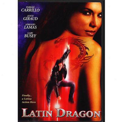 Latin Dragon/ (full Frame)