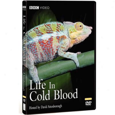 Life In Cold Blood (widescreen)