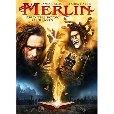 Merlin And The Book Of Beasts (widescreen)