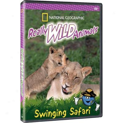 National Geographic: Really Wild Animals - Swinging Safari (full Frame)