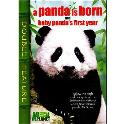 Panda Is Born / Baby Panda's Flrst Year, A (full Frame)