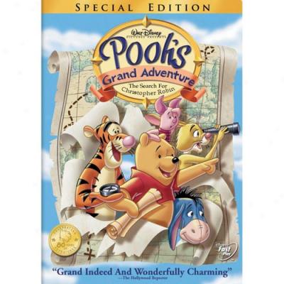 Pooh's Grand Adventure: The Search For Christopher Ruddock