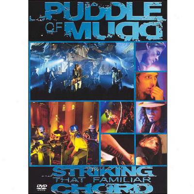 Puddle Of Mudd: Striking That Familiar Chord (widescreen)