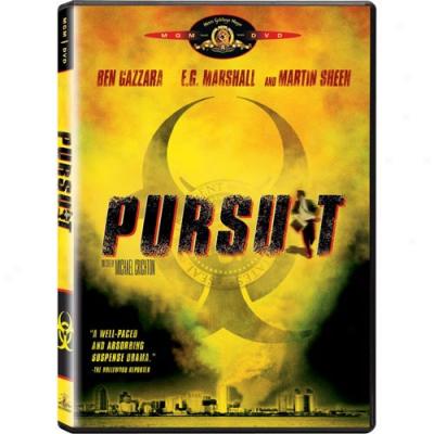 Pursuit (full Frame)