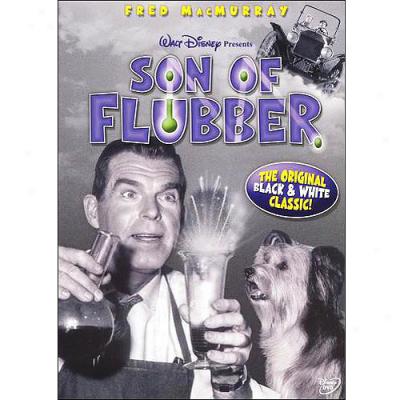 Son Of Flubber (full Frame)