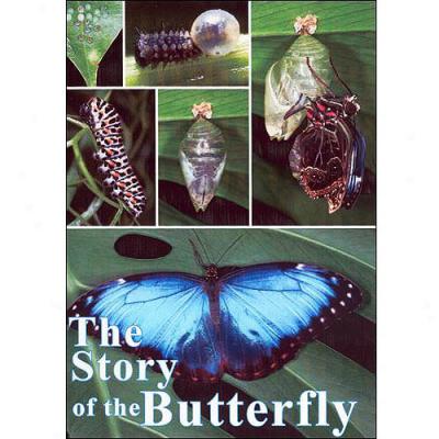 Story Of The Butterfly