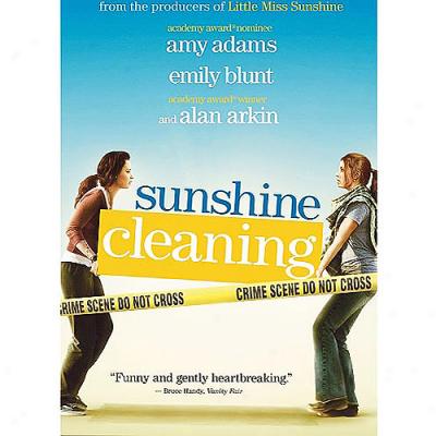Sunshine Cleaning (Complete Frame, Widescreen)