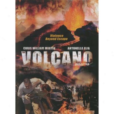 Volcano Disaster, The