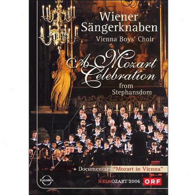 Wiener Sangerknaben: A Mozart Celebration Constitute The Stephansdom (widescreen)