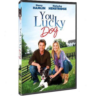 You Lucky Dog (widescreen)