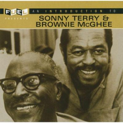 An Introduction To Sonny Terry & Brownie Mcghee (remaster)