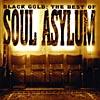 Black Gold: The Best Of Soul Asylum (remaster)