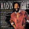 Every Great Motown Chance Of Marvin Gaye (with Iron On Decale)
