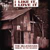 I Like It, I Love It: The Bluegrass Tribute To Tim Mcgraw