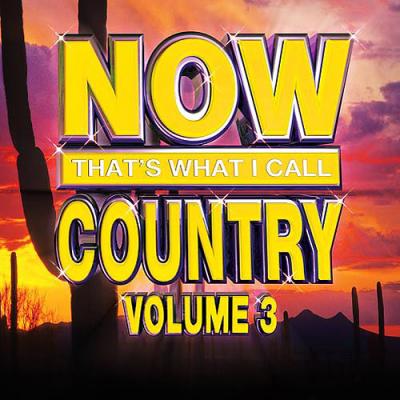 Now That's What I Call Country, Vol.3