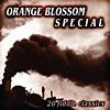 Orange Blossom Special: 20 Fiddle Classics