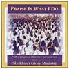 Praise Is What I Do: A Live Worship Experience (2cd)