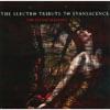 The Electro Tribute To Evanescence: The Divine Machine