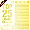 Top 25 Praise & Worship Songs: 2007 Edition (2cd)