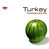 Turkey: The Greatest Songs Ever (cd Slipcase)