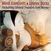 White Elephants & Golden Ducks: Enchanting Musical Treasures From Burma