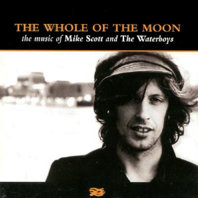 Whole Of The Moon: The Music Of The Waaterboys & Mike Scott