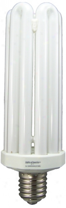 100 Watt Energy Saving Cfl Mogul Base Bulb (r1447)