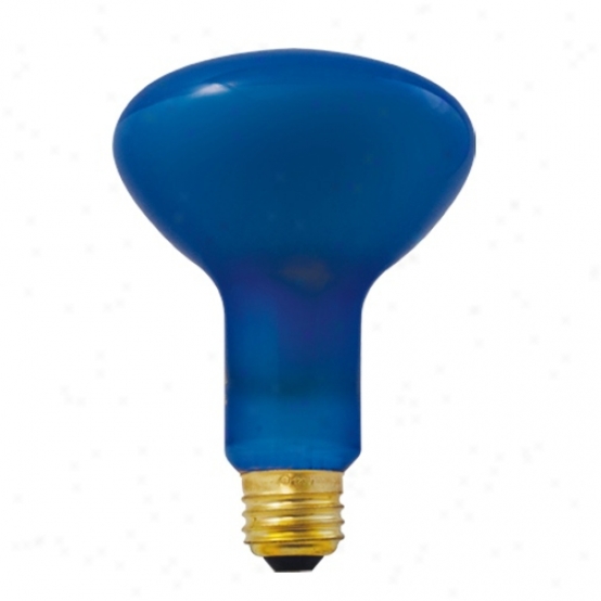 100 Watt R30 Plant Growth Reflectot Light Bulb (x0051)