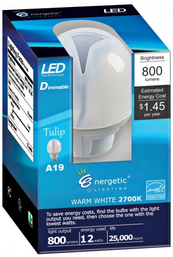 12 Watt Dimmable Led Omni-directional Light Bulb (w4099)