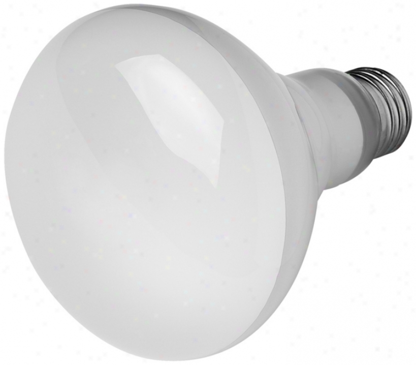 14-watt Br-30 Cfl Flood Light Bulb (u1017)