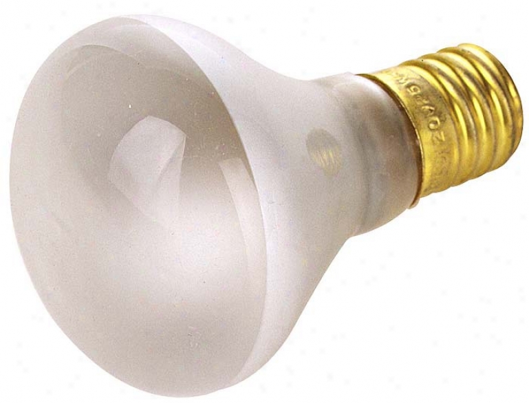 40 Watt R-14 Intermediate Base Mini Spot Bulb (05195)