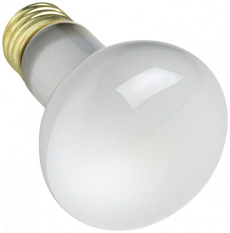 45 Watt R-20 Mirror Light Bulb (y1494)