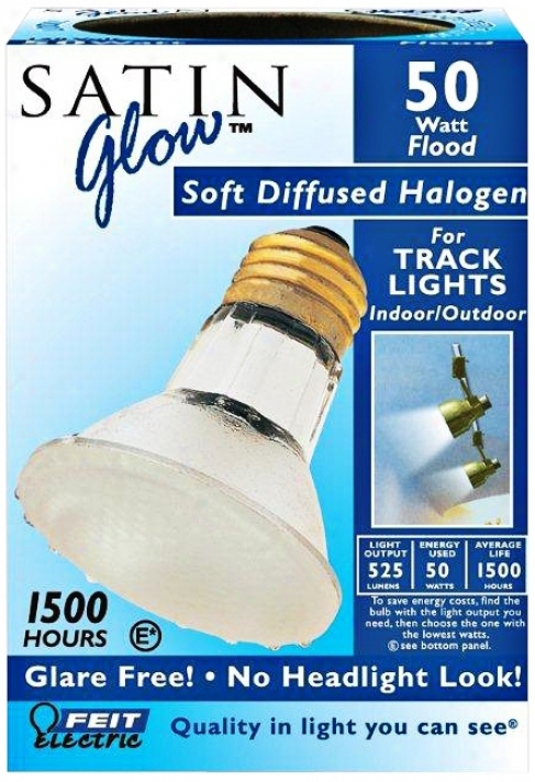 50 Watt Par20 Soft Diffused Halogen Light Bulb (63711)