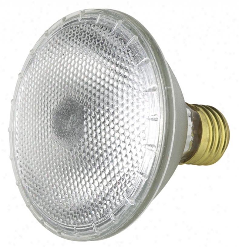 50 Watt Par30 Flood Light Bulb (90013)