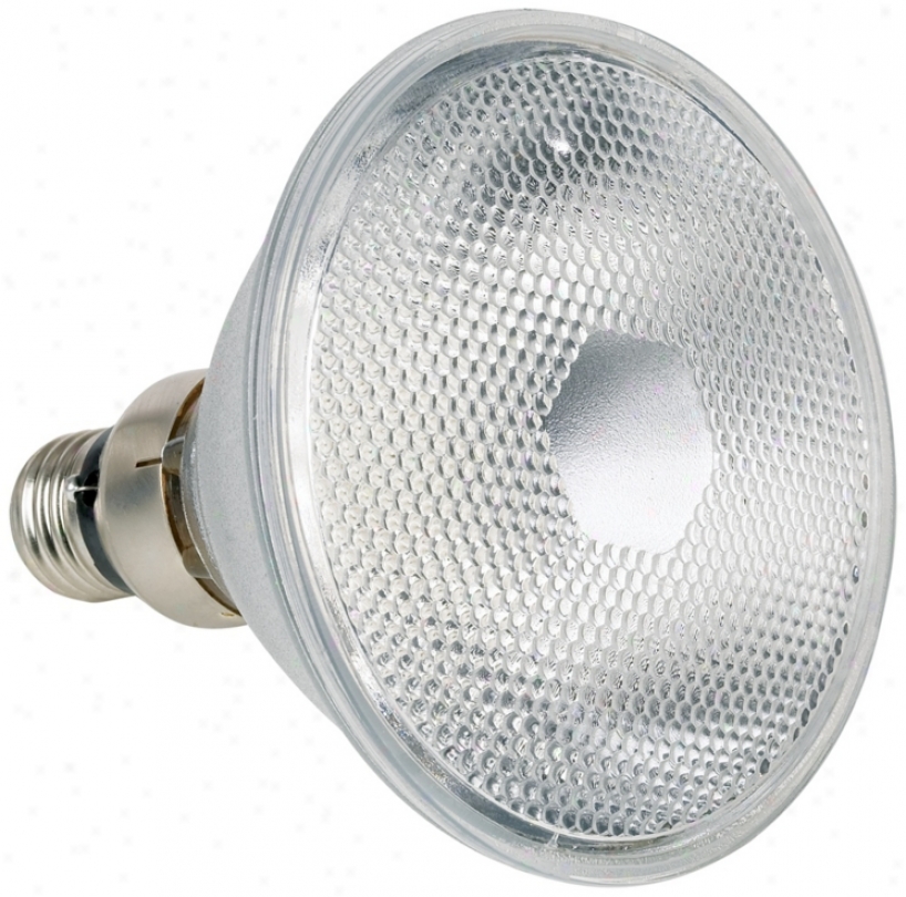 90 Watt Par38 Flood Halogen Light Bulb (22516)