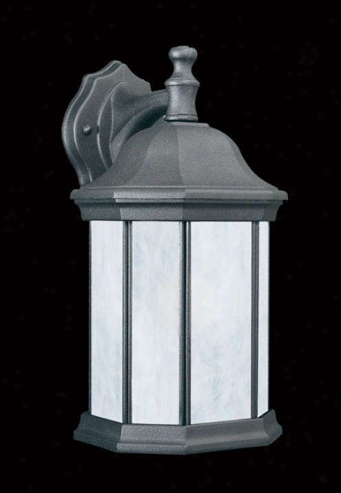 Black Finish 14" High Fluorescent Wall Lantern (04345)