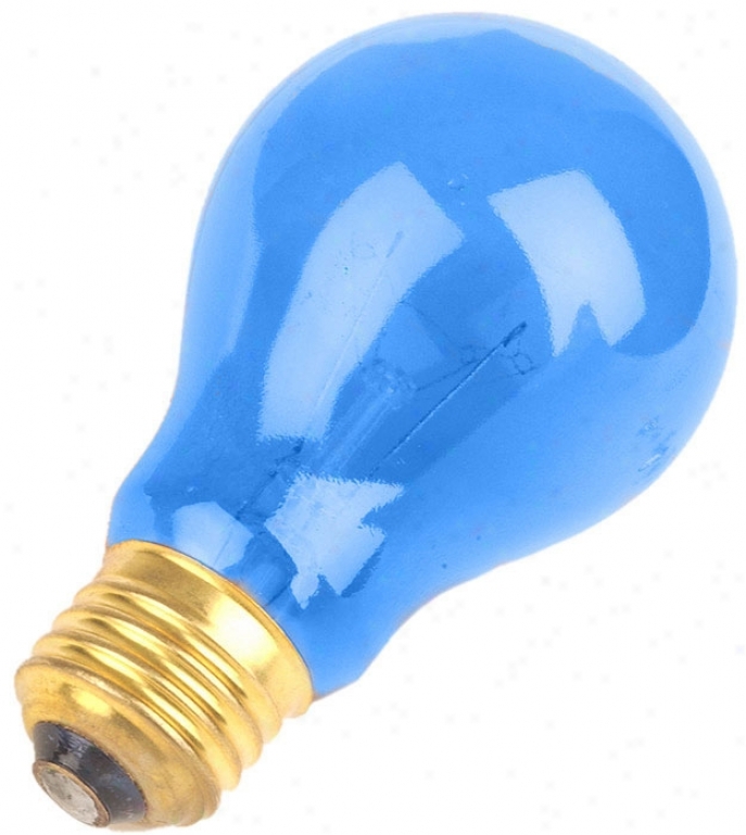 Blue 25 Watt  Person Light Bub (78294)