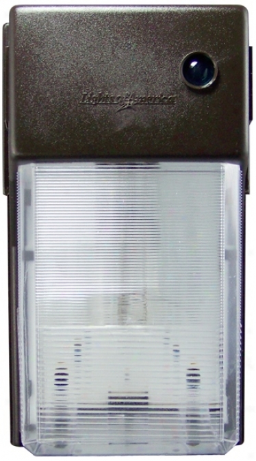 Bronze 10.5" High High Pressure Sodium Wall Light (r1442)