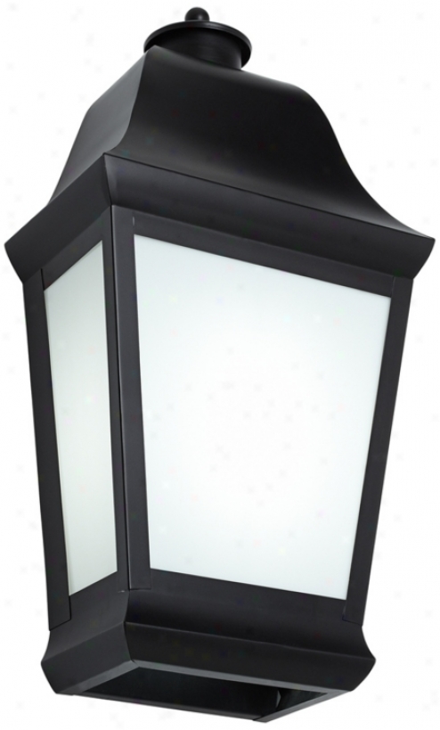 Evergreen 20 1/2" High Black Outdoor Wall Light (t9901)