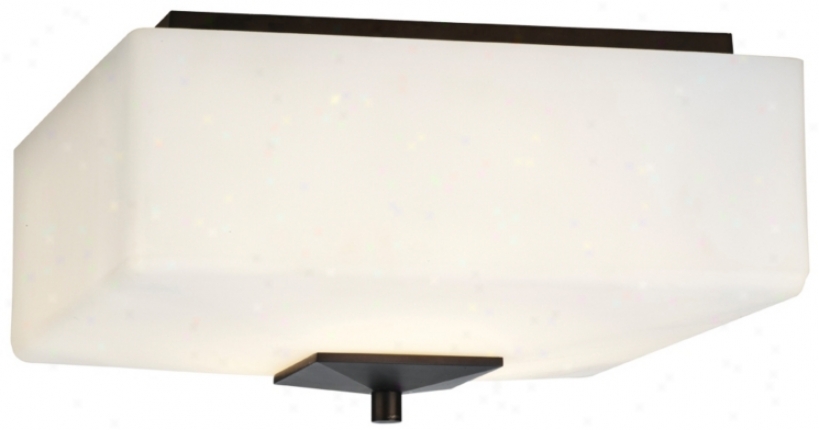 Forecast Radius Collection 13" Deep Alloy of copper Ceiling Light (21574)