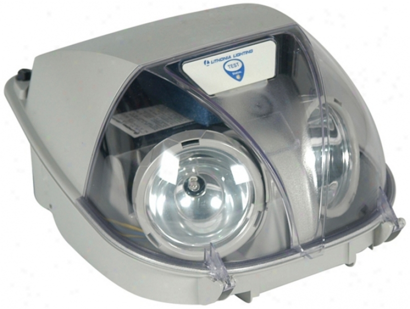 Grey Two-light Bugg Eye Emergency Light (39477)