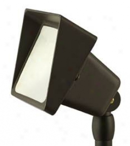 Hinkley Bronze End Frosted Glass View Floodlight (48909)