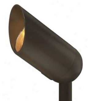 Hinkley Bronze Low Voltae Landscape Spotlight (48797)