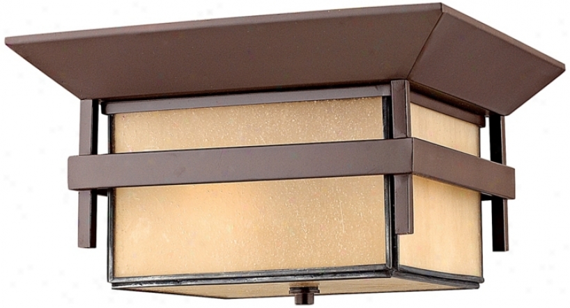 Hinkley Harvor 11" Wide Indoor - Outdoor Ceilihg Light (f8586)