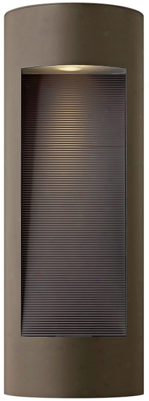 Hinkley Luna Dark Sky 24" Richly Bronze Outdoor Wall Light (f8498)