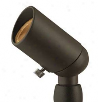 Hinkley Small Bronze Low Voltage Landscape Spotlight (48810)