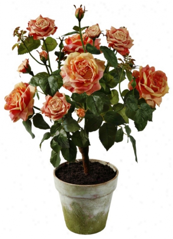 Jane Seymour 27" Oppressive Peach Potted Silk Rose Plant (w0816)