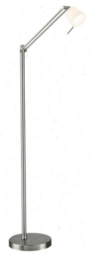 Lite Source Adjustable Polishde Case-harden Floor Lamp (22043)