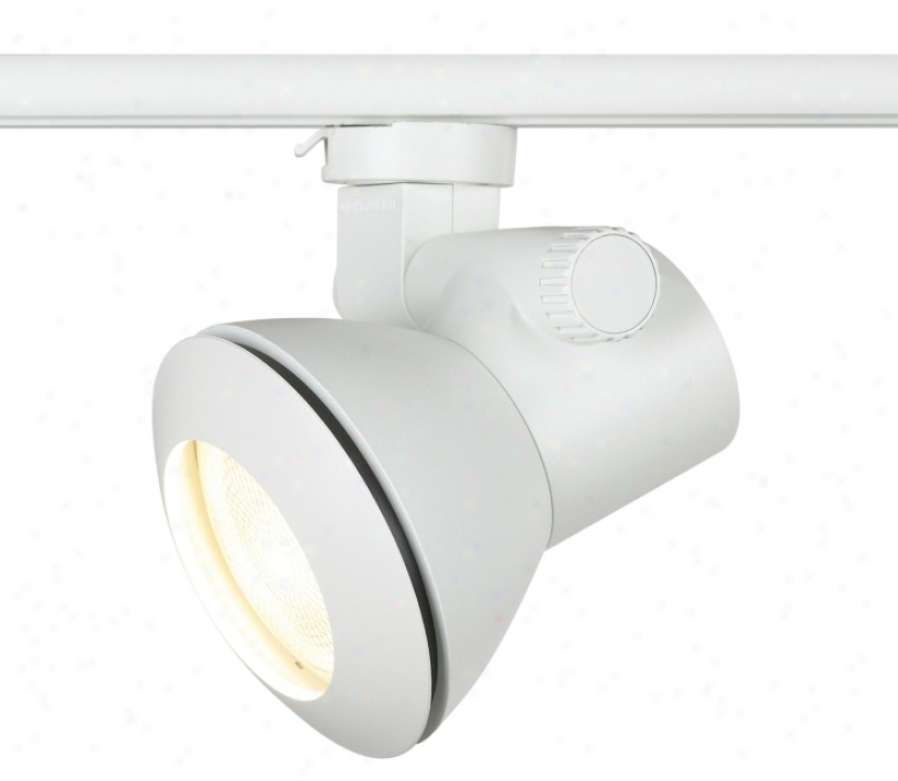 Low Profile Par 20 Track Light (15536)